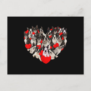 Funny Heart Love Boston Terrier Valentines Day Vykort