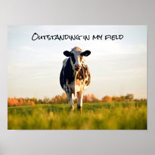 Funny Heifer Outstand i min Fält Poster