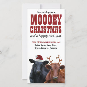Funny Helgdag Cow Couple Mooey Jul Julkort