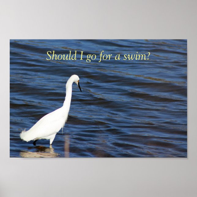 Funny Heron Poster (Framsidan)
