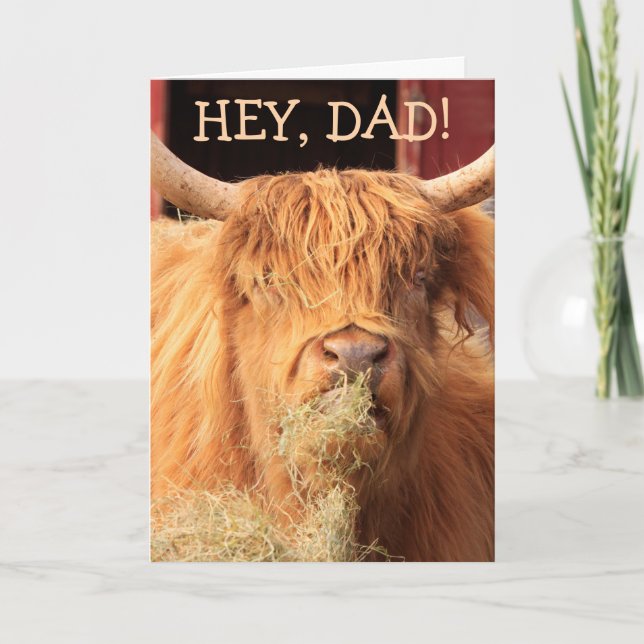 Funny Highland Cattle Fars dag Helgkort (Framsida)