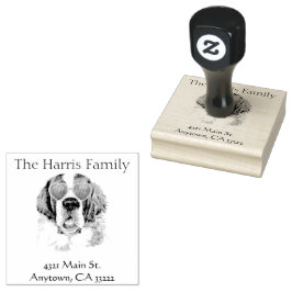 Funny Hipster Saint Bernard Personlig Stämpel