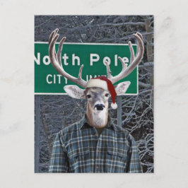 Funny Hjort Wearing Santa Hat i Nordpolen Helg Vykort