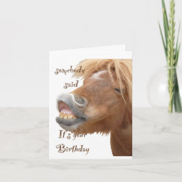 Funny Horse Birthday Card Kort