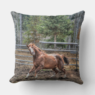 Funny Horse Equine Photo Design for Animal-älskare Kudde
