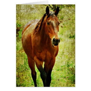 Funny Horse Hälsningskort