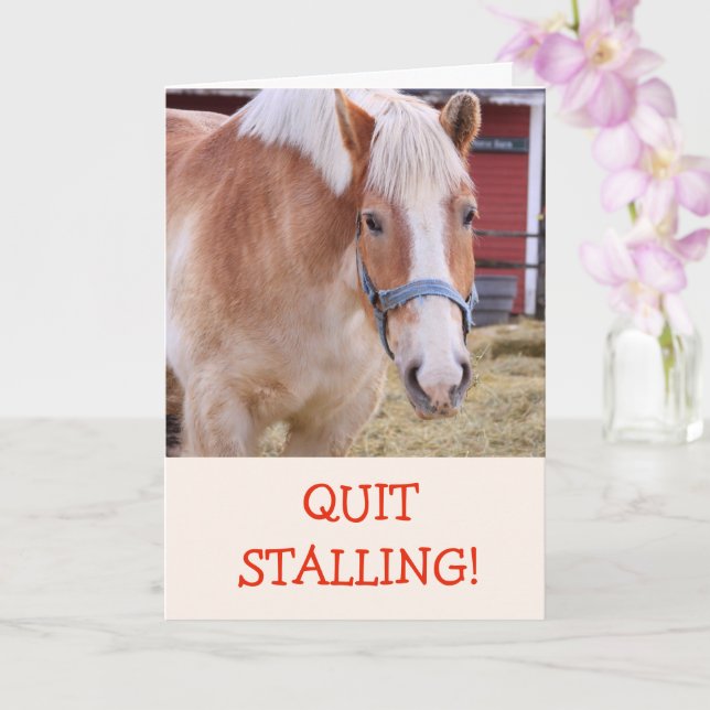 Funny Horse Joke Pun Get well Card Kort (Orkide)