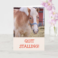 Funny Horse Joke Pun Get well Card
