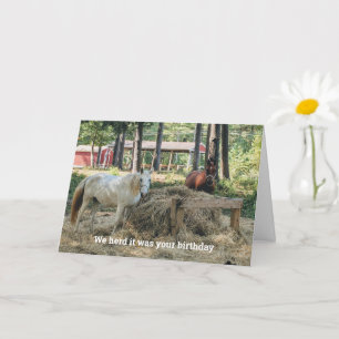 Funny Horse Lover Birthday Kort
