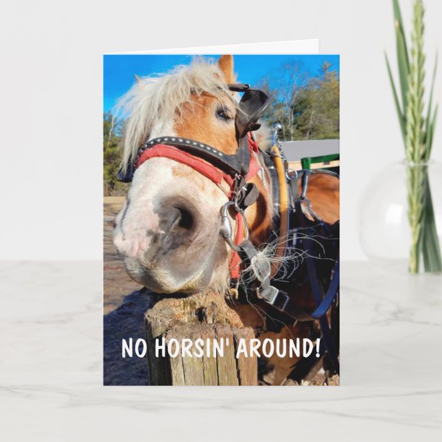 Funny Horse Pun Fars dag Kort (Framsida)