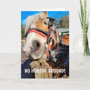 Funny Horse Pun Fars dag Kort