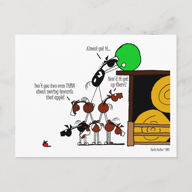 Funny Horse Pyramid Tecknad Vykort (Framsida)