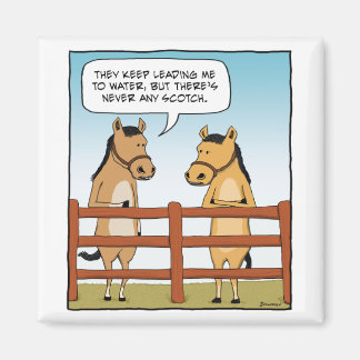 Funny Horse to Vatten magnet