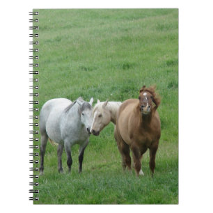 Funny Horses Anteckningsbok Med Spiral