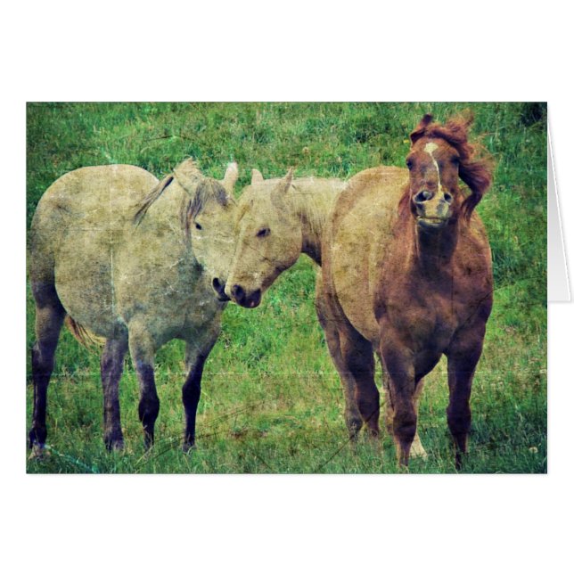 Funny Horses Hälsningskort (Framsidan Horizontal)
