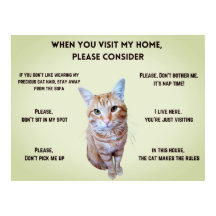 Funny House Regler (personlig med kattfoto)