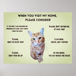 Funny House Regler (personlig med kattfoto) Poster