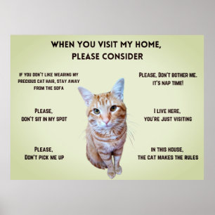 Funny House Regler (personlig med kattfoto) Poster