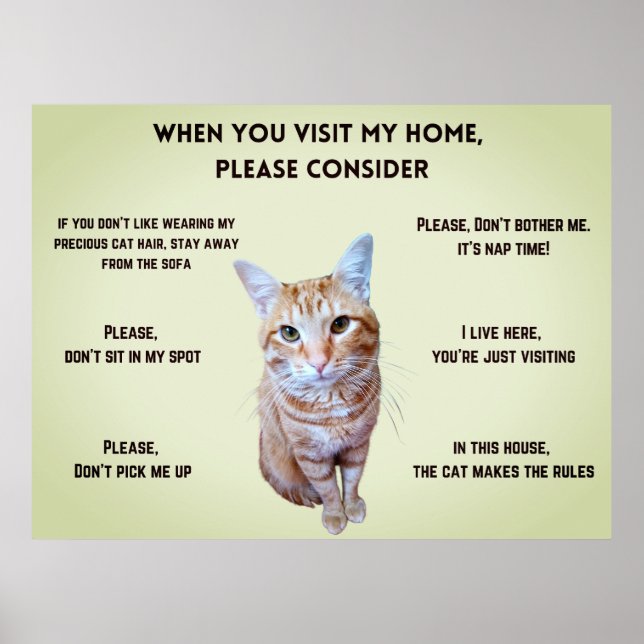 Funny House Regler (personlig med kattfoto) Poster (Framsidan)
