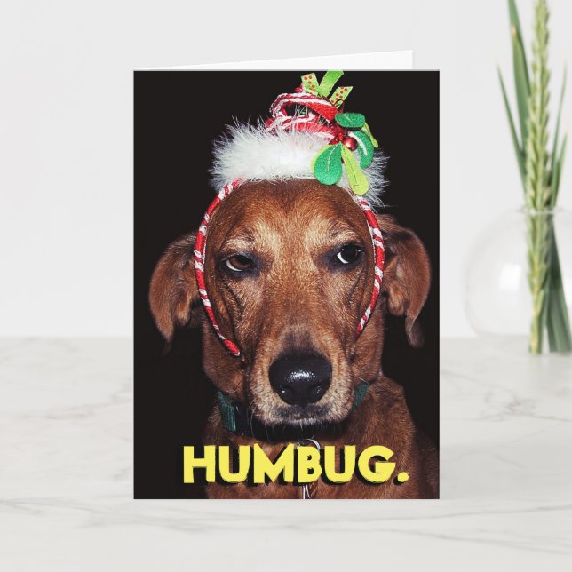 Funny HUMBUG hund-julkort Helgkort (Framsida)