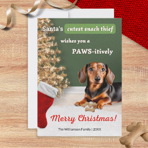 Funny Humor Cute Sause Hund Dachshund jul Julkort