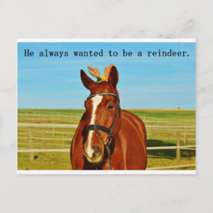 Funny Humor Horse Reindeer jul Julafton Helg Vykort