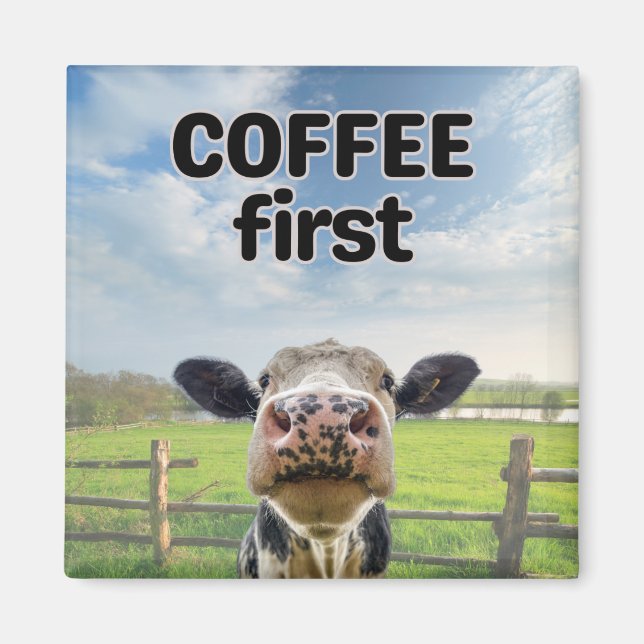 Funny Humous Coffee First Cow Magnet (Framsidan)