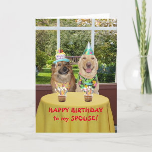 Funny Hund Birthday Card för make/maka Kort