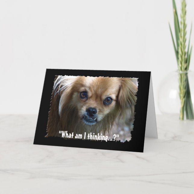 Funny Hund-födelsedagskort för marijuana Kort (Framsida)