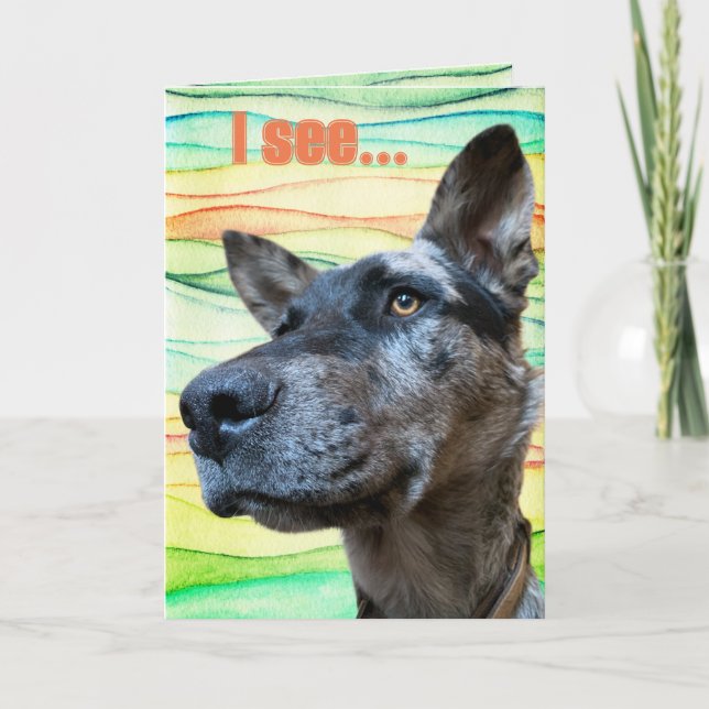 Funny Hund Foto Colorful Background Kort (Framsida)