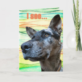 Funny Hund Foto Colorful Background Kort