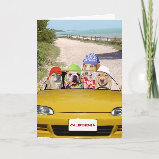 Funny Hund/labb Surfer Birthday Card Kort (Framsida)