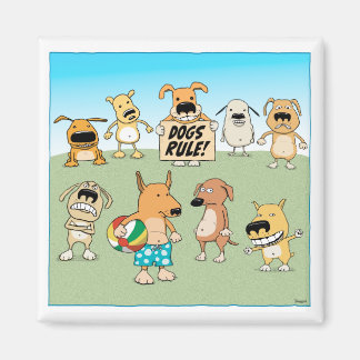 Funny Hund Regelmagnet Magnet