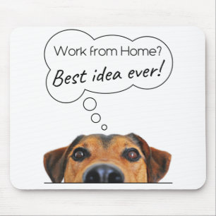 Funny hundvalp: Arbeta hemifrån? Bästa idé Musmatta