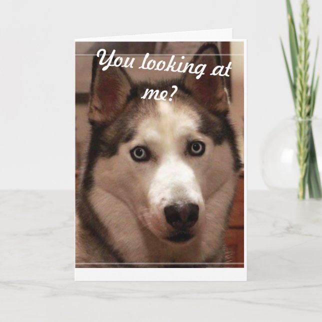 Funny Husky Birthday Card Kort (Framsida)