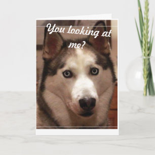 Funny Husky Birthday Card Kort