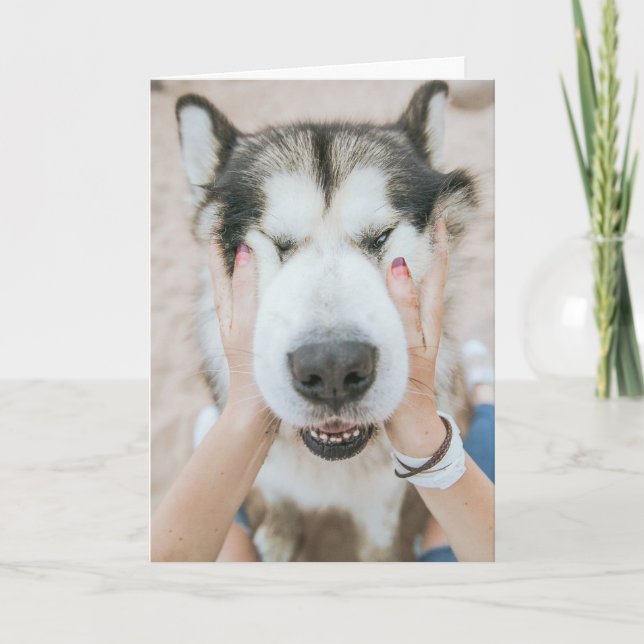 Funny Husky Hund Birthday Card Kort (Framsida)