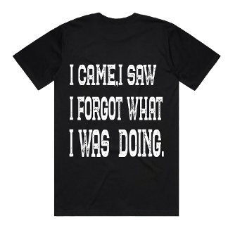 Funny I Came I Saw Quote Sarcastic forgetful shirt T