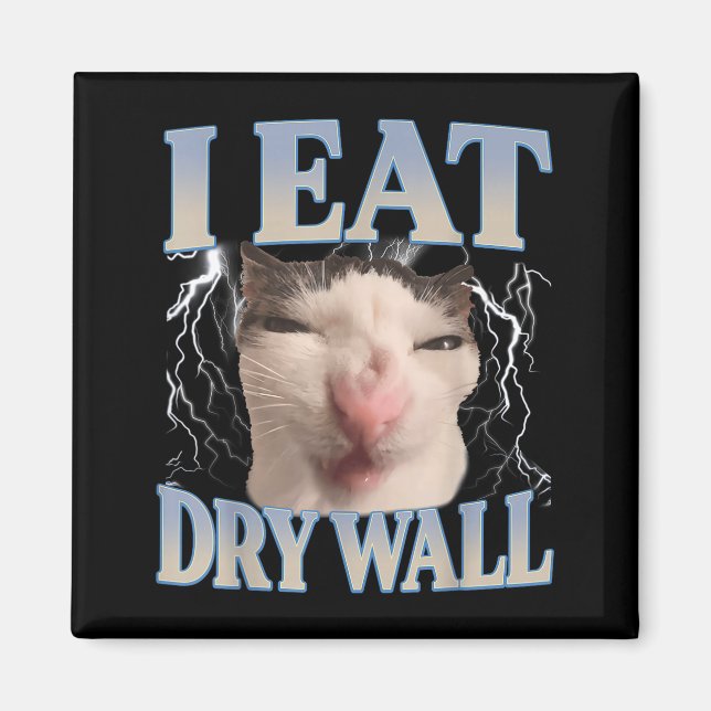 Funny I Eat Dry Wall Silly Cat Meme Men Women Kids Magnet (Framsidan)