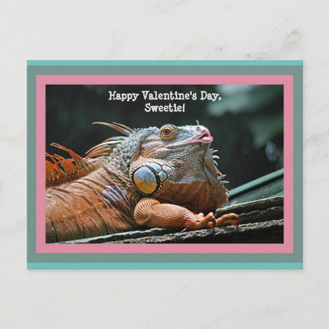 Funny Iguana Valentine Vykort (Framsida)