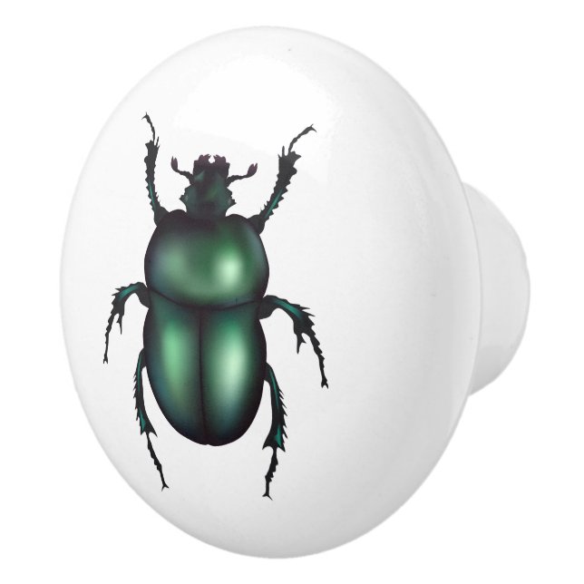 Funny Insect  Knopp (Höger)