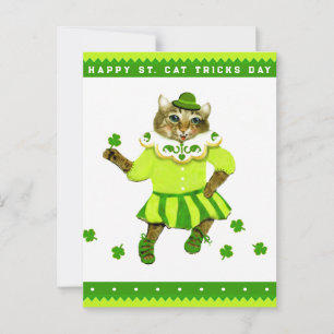 Funny Irish Cat Ireland Vykort