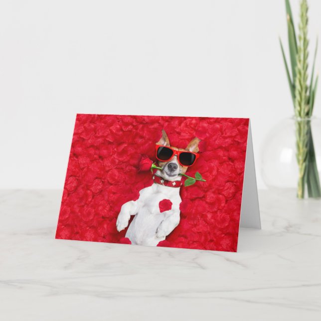 Funny Jack Russel Hund Valentines day Card Helgkort (Framsida)