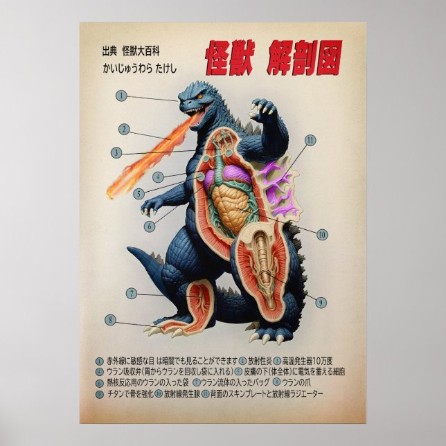 Funny japansk Kaiju anatomidiagram Poster (Framsidan)