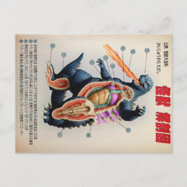 Funny japansk Kaiju anatomidiagram Vykort