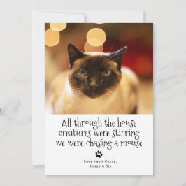 Funny jul Pet Cat Julkort
