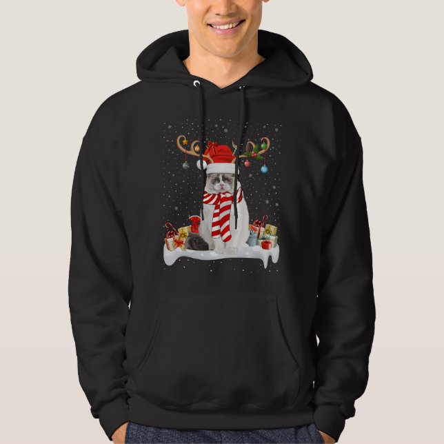 Funny Julafton Lighting Reindeer Santa Hat Ragdoll Hoodie (Framsida)