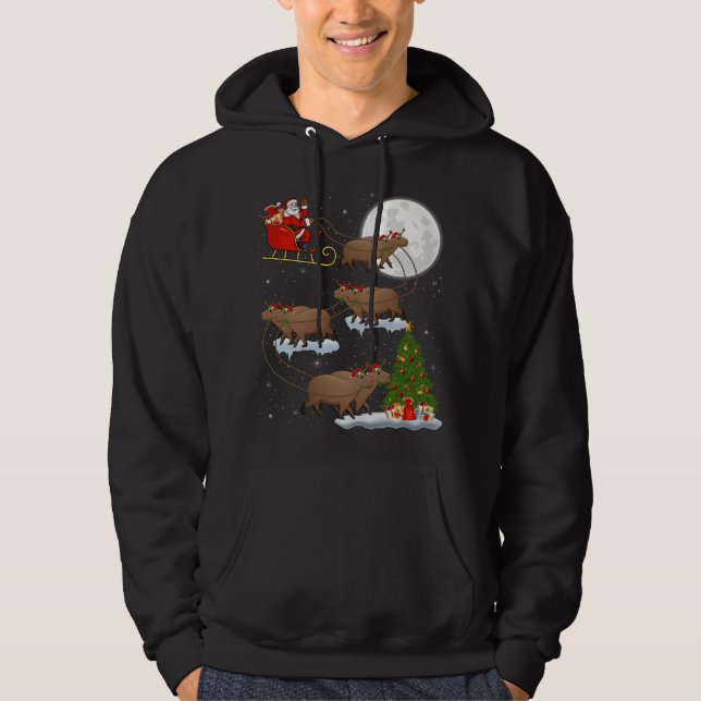 Funny Julafton Lighting Träd Santa Riding Capybara Hoodie (Framsida)