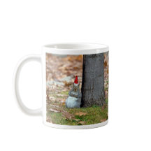 Funny Jultomten Squirrel