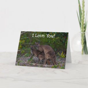 Funny Kangaroo I Kärlek You Kort